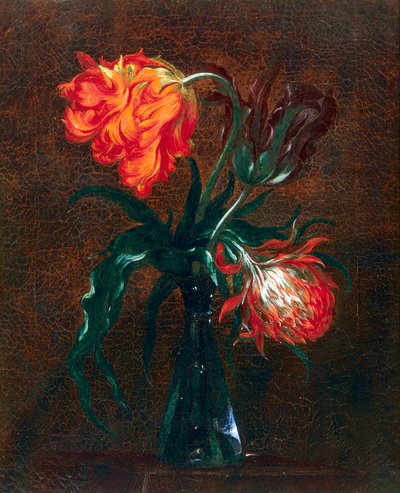 Glass Vase with Two Tulips by Andrea the Elder Scacciati